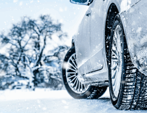 Winter Weather and Border Crossings: A Complete Preparation Guide